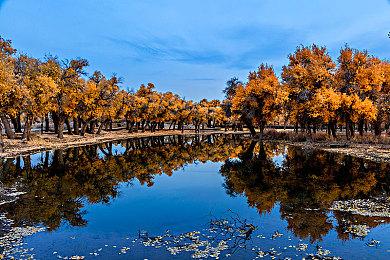 C罗投资的足球游戏《UFL》9月12日发售 免费游玩